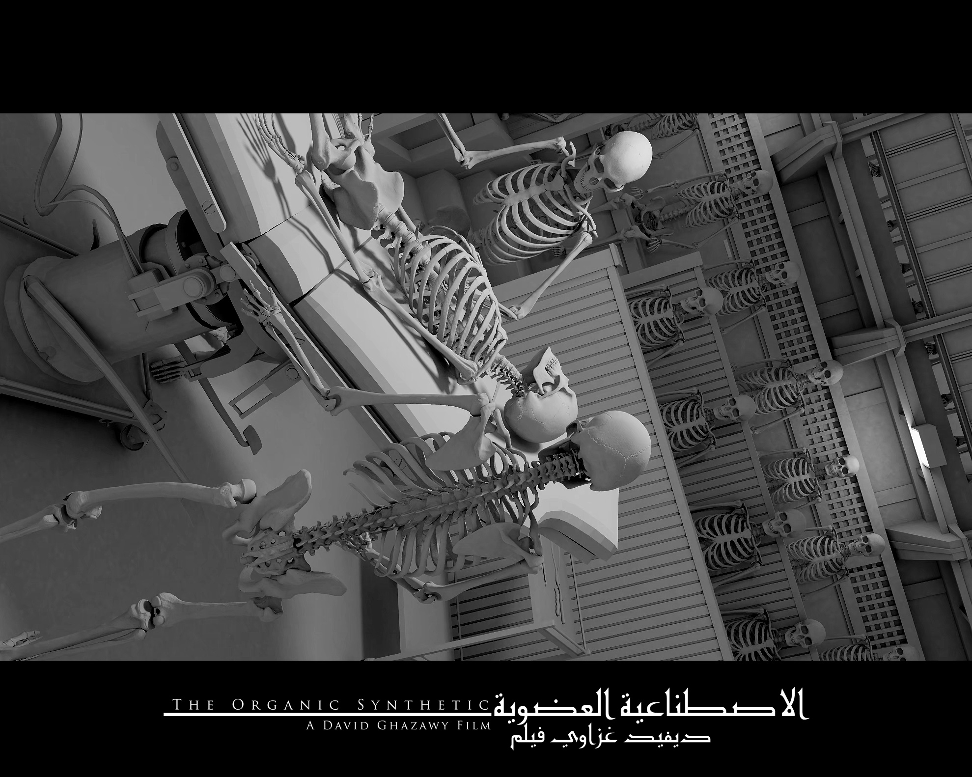 David Ghazawy - The Organic Synthetic Short Film